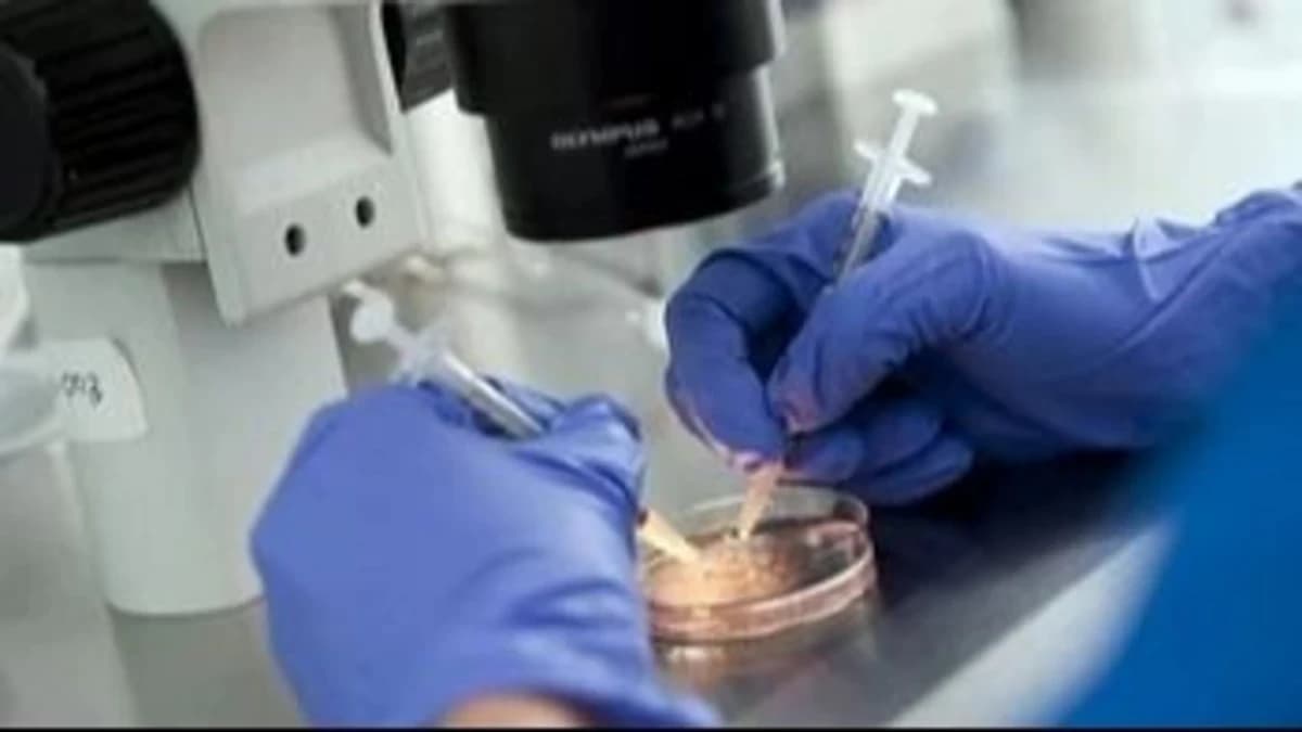Un donante de esperma de los Países Bajos dice ser padre de 199 nacidos en cuatro países